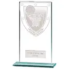 Millenium Glass Netball Award 160mm