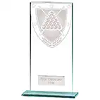 Millenium Glass Pool Snooker Award 180mm