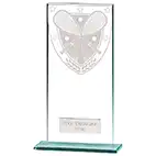 Millenium Glass Squash Award 180mm