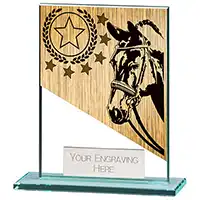 110mm Mustang Glass Equestrian Award