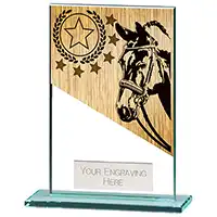125mm Mustang Glass Equestrian Award