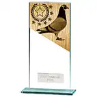 180mm Mustang Pigeon Glass Award