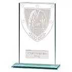 Millenium Glass Martial Arts Award 140mm