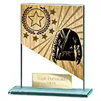 110mm Mustang Glass Martial Arts Award