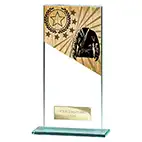 180mm Mustang Glass Martial Arts Award