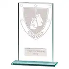 Millenium Glass Boxing Award 140mm