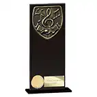 Hero Cobra  Black Glass Music Award 200mm