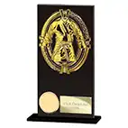 Maverick Fusion Black Glass Martial Arts Award 160mm