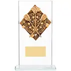 170mm Glass Darts Award