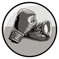 Boxing Gloves Centre 50mm