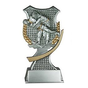 200mm Silver Resin Judo Shield Award