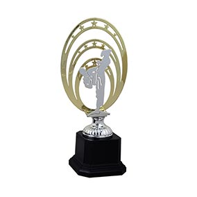 295mm Metallic Oval Martial Arts Trophy