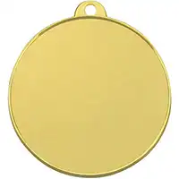 2in Gold Finish Plain Medal - With Loop