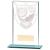 Millennium Glass Lawn Bowls Award 140mm - view 1