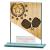 Mustang Hero Black Glass Pickleball Award 110mm - view 1