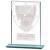 Millenium Glass Hockey Award 125mm - view 1