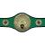 Green Champions Belt Boxing Male - view 1