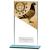 160mm Mustang Pigeon Glass Award - view 1