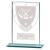 Millenium Glass Clay Pigeon Shooting Award 140mm - view 1