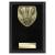 Cobra Darts Plaque 150mm - view 1