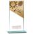 180mm Mustang Glass Badminton Award - view 1