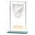 Millenium Glass Fishing Award 160mm - view 1