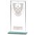 180mm Millenium Glass Ten Pin Award - view 1