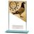 140mm Mustang Pigeon Glass Award - view 1