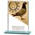 125mm Mustang Pigeon Glass Award - view 1