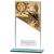 160mm Mustang Glass Fishing Award - view 1