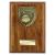 Brown Cobra Netball Plaque 175mm - view 1