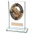 Maverick Glass Pool Snooker Award 140mm - view 1