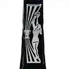 Silver Black Henge Netball Award