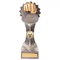 Falcon Martial Arts Trophy 210mm