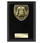 Cobra Martial Arts Plaque 150mm