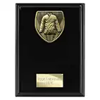 Cobra Martial Arts Plaque 175mm