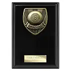 Cobra Pool Plaque 150mm