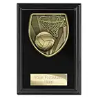 Black Cobra Netball Plaque 125mm