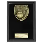 Black Cobra Netball Plaque 150mm