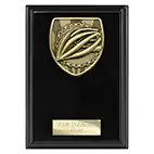 Cobra Cycling Plaque 150mm