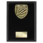 Cobra Cycling Plaque 175mm