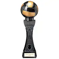 235mm Black Viper Tower Netball Trophy