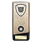 Gold Prime Darts Trophy 160mm