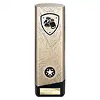 Gold Prime Boxing Trophy 220mm