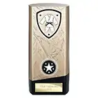 Gold Prime Martial Arts Trophy 160mm