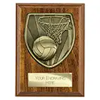 Brown Cobra Netball Plaque 125mm