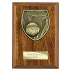 Brown Cobra Netball Plaque 150mm