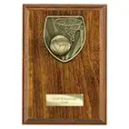 Brown Cobra Netball Plaque 175mm