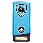 Blue Prime Boxing Trophy 160mm