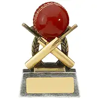 9.5cm Escapade Cricket Award